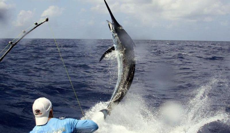 Pêcheur en plein combat, prise qui jaillit hors de l'eau